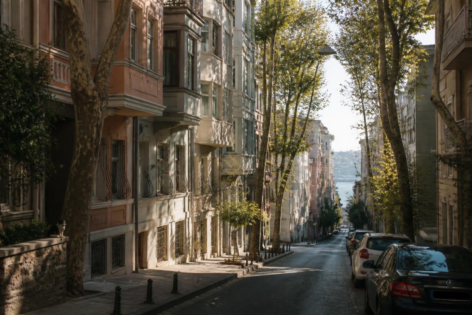A quiet tree-lined street of older apartment buildings with bay windows and balconies in late afternoon light